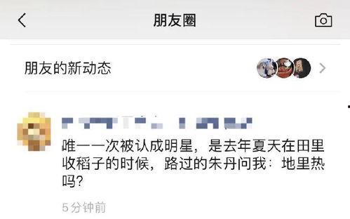 迪丽热朋友圈最新爆料,最新动态曝光，网友热议不断！